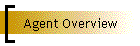 Agent Overview